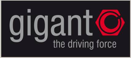 Опора шкворня нижняя