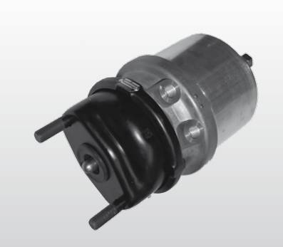 Энергоаккумулятор BS9404 T20/24 SP (диск. тормоз)