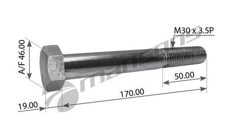 Болт BPW рессоры (M30х170х3,5) MANSONS